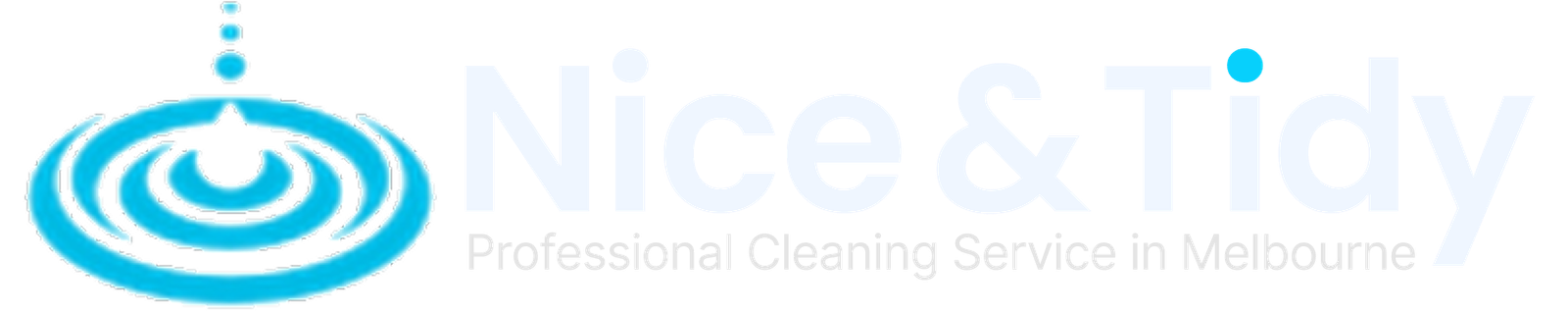 Nice & Tidy Pvt Ltd
